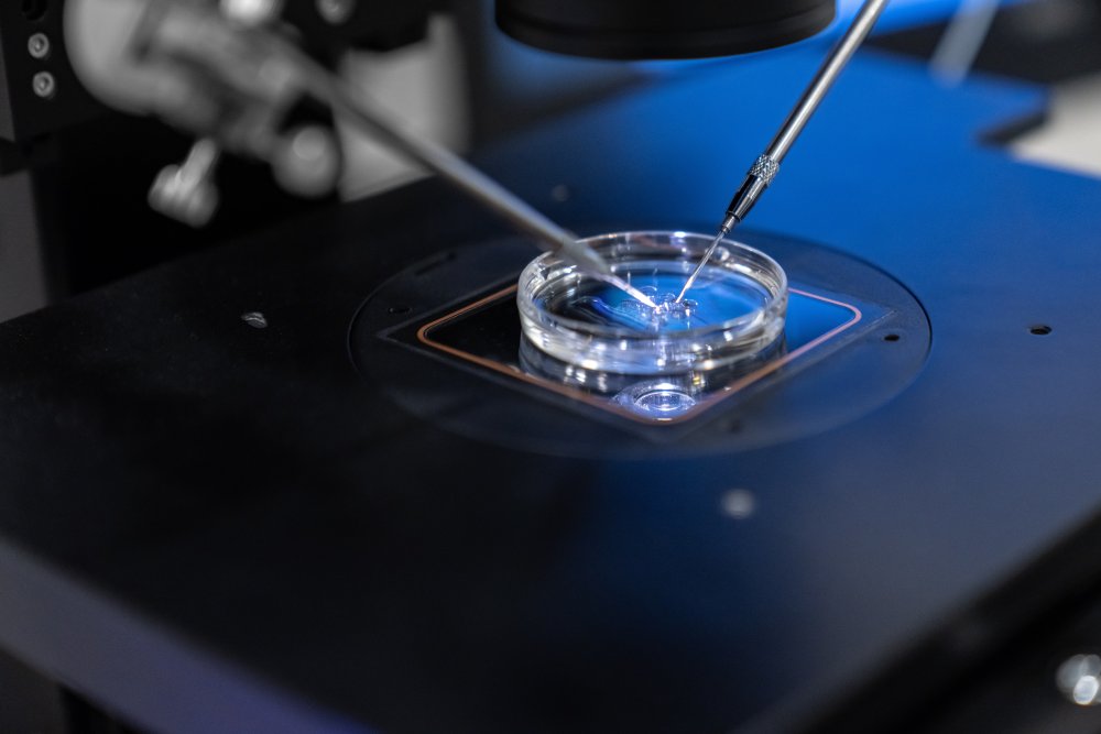 O IVF je třeba mluvit otevřeně a srozumitelně. Nová platforma pomůže pacientům i klinikám